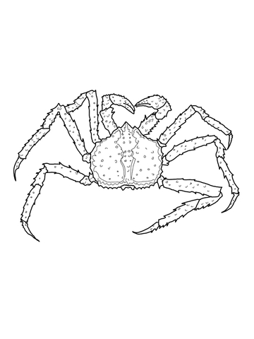 King Crab Coloring Page